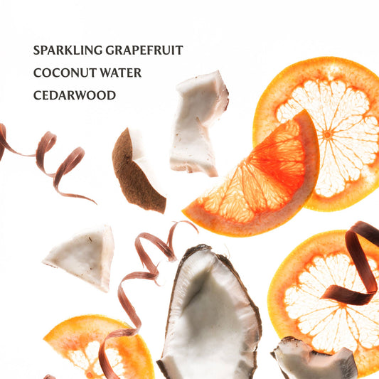 BEACH COCO HYDRATING HAND SANITIZER