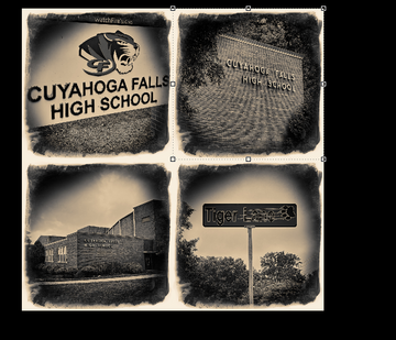 CFHS COLLAGE