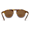 NEPTUNE SUNGLASS READERS