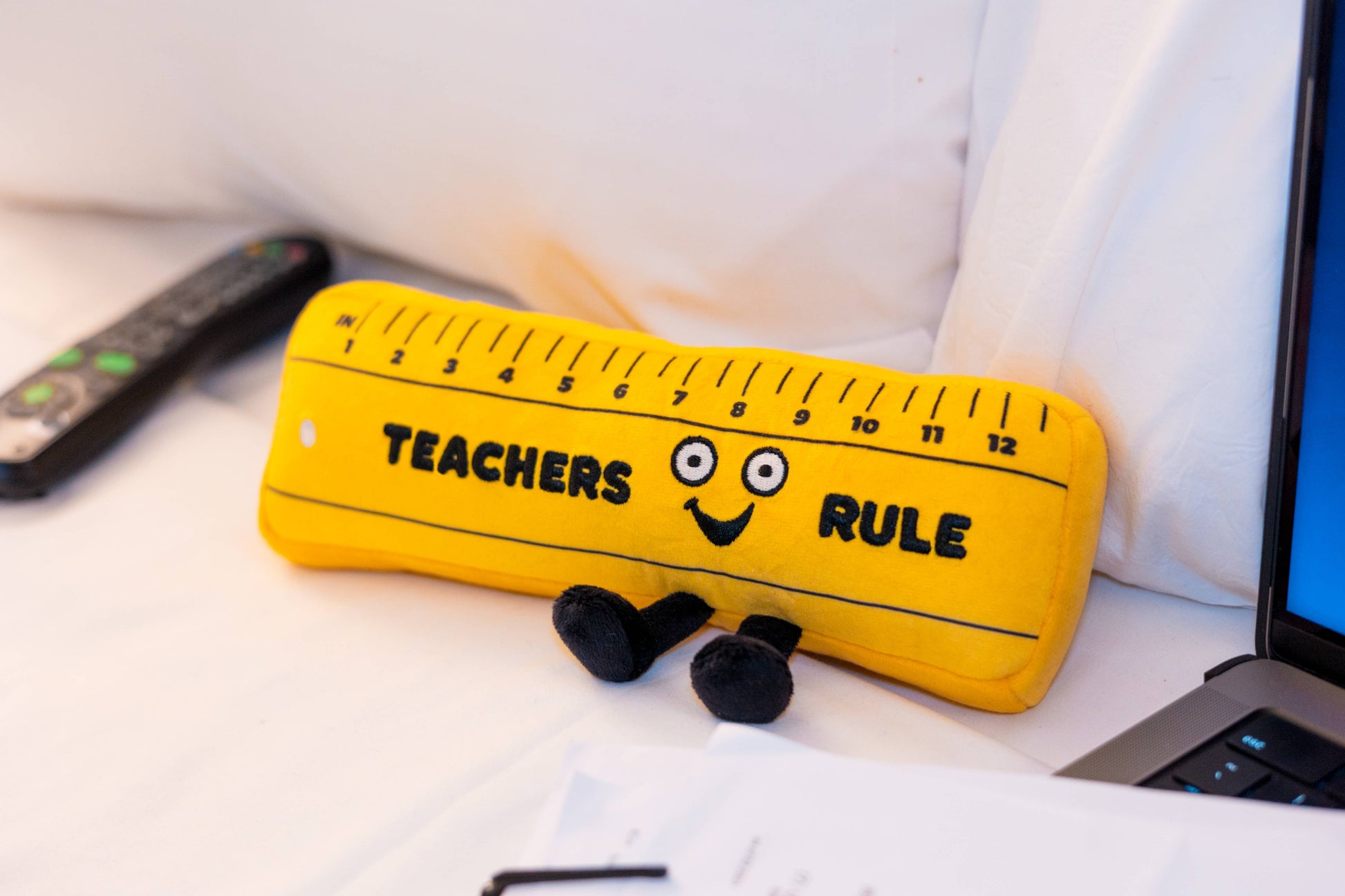 TEACHERS RULE PLUSHIE