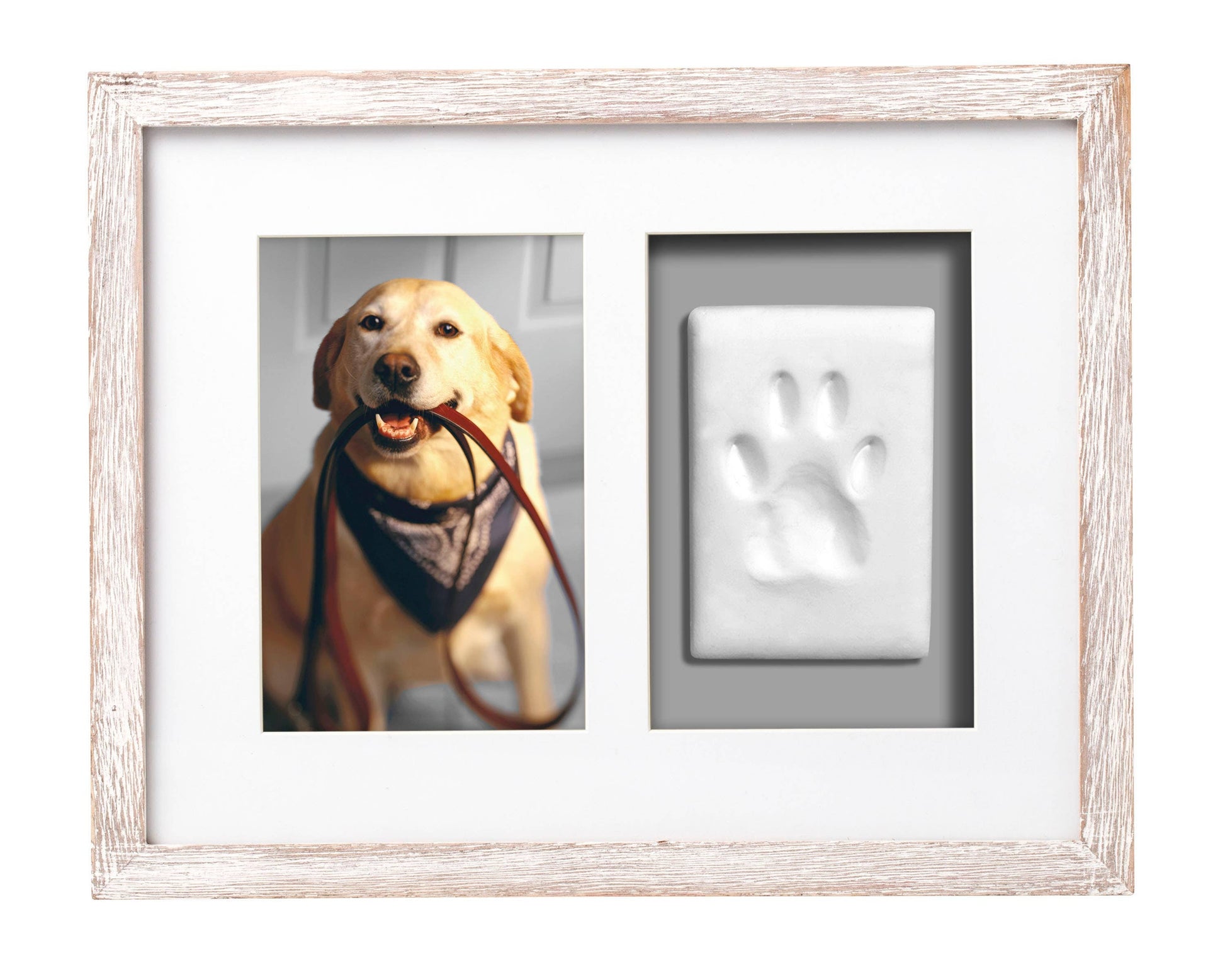 PAWPRINTS WALL FRAME