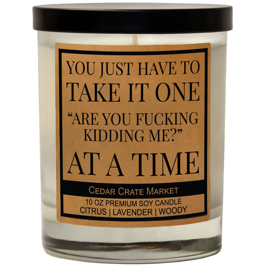 ONE ARE YOU FUCKING KIDDING CANDLE