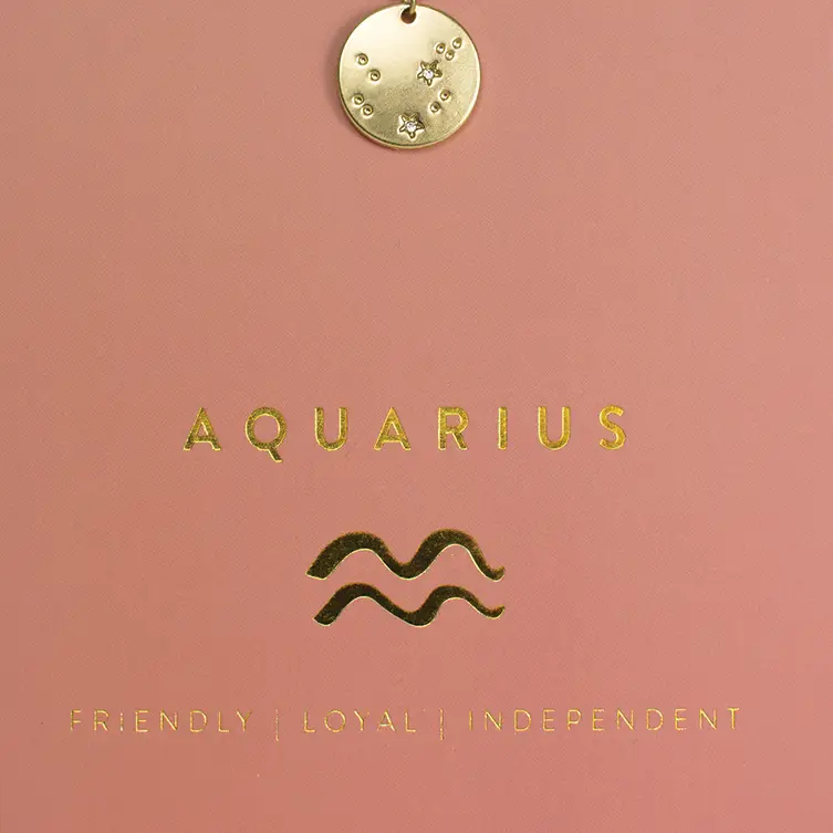 AQUARIUS NECKLACE