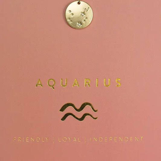 AQUARIUS NECKLACE