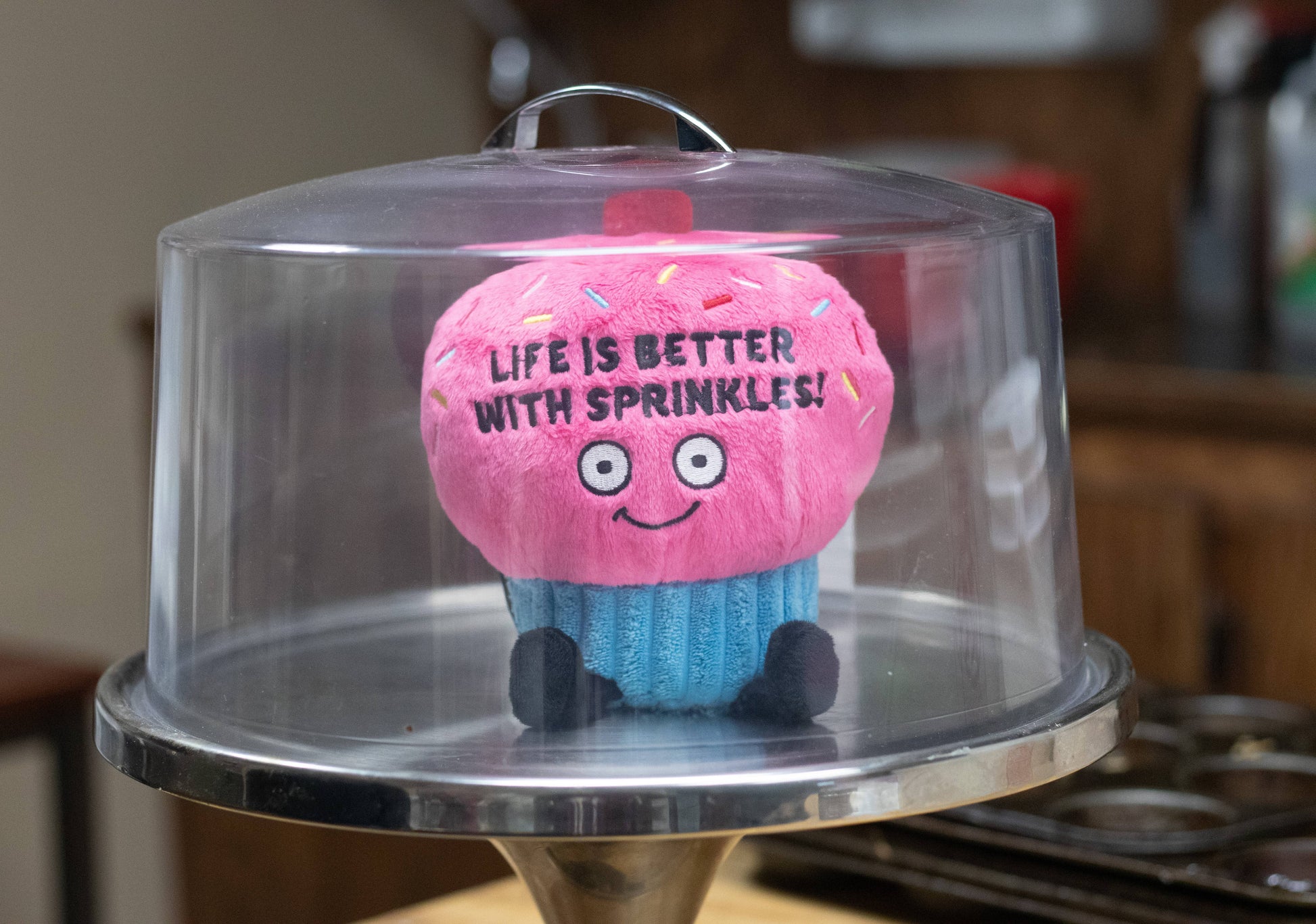 BETTER WITH SPRINKLES CUPCAKE