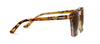PALM BEACH SUNGLASSES