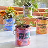 COMPLIMENT COLOR GROW KITS