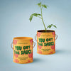 COMPLIMENT COLOR GROW KITS