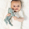 PACIFIER BUDDY FROG