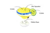 PUP-ARITA DOG TOY
