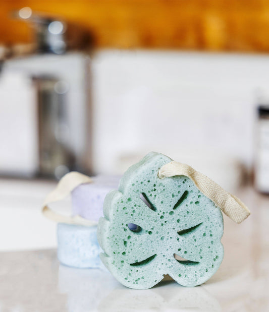 SUPER SUDSY SPONGE