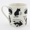 CATTITUDE MUG