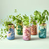 HERB GARDEN JAR