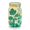 HERB GARDEN JAR