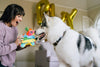 FIESTA FETCH PIÑATA