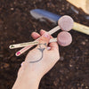 POLLINATOR SEED POPS