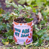 COMPLIMENT COLOR GROW KITS