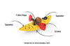 K9 KAYAK TOY