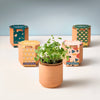 TINY TERRACOTTA GROW KITS