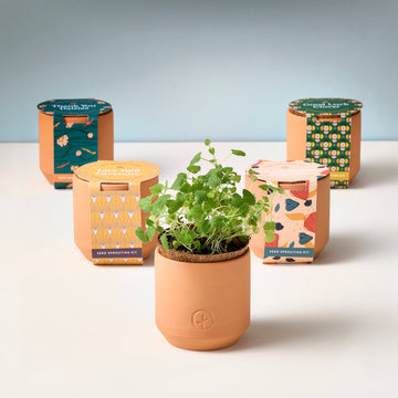 TINY TERRACOTTA GROW KITS