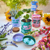 COMPLIMENT COLOR GROW KITS
