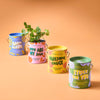 COMPLIMENT COLOR GROW KITS