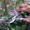 GARDEN PRUNERS
