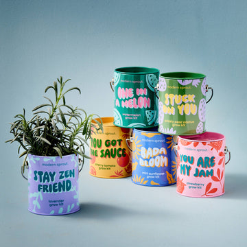 COMPLIMENT COLOR GROW KITS