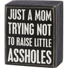 TRYING NOT TO RAISE ASSHOLES BOX SIGN