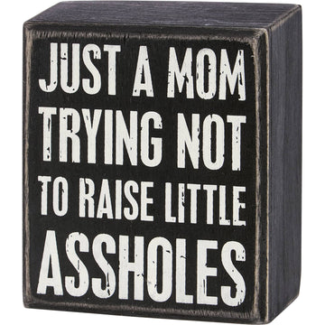 TRYING NOT TO RAISE ASSHOLES BOX SIGN