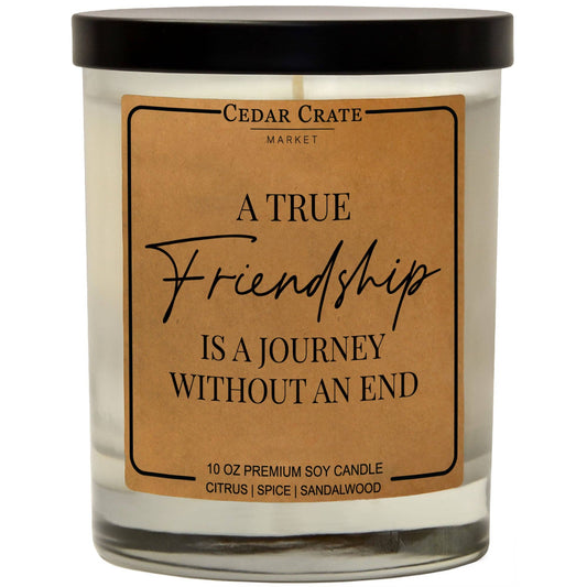 FRIENDSHIP IS A JOURNEY CANDLE