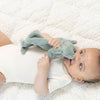 PACIFIER BUDDY FROG