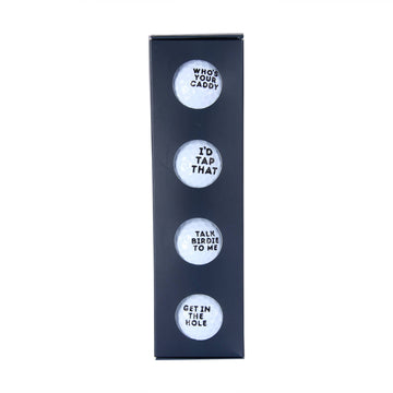 GET IN THE HOLE BALL SET