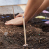 POLLINATOR SEED POPS