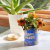 COMPLIMENT COLOR GROW KITS