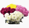 FRESH FLOWERS