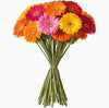 FRESH FLOWERS