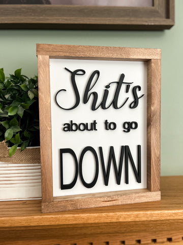 SHIT'S DOWN 8X12 FRAMED