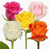FRESH FLOWERS