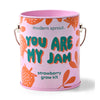 COMPLIMENT COLOR GROW KITS