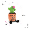 FREE HUGS CACTUS