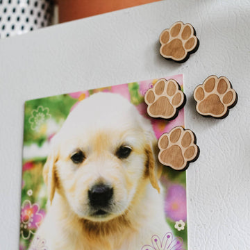 PAW PRINT MAGNETS