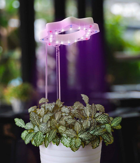 BLOOMIE INDOOR GROW LIGHT