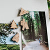 CAMPING MAGNETS