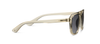DEEP DIVE SUNGLASSES