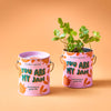 COMPLIMENT COLOR GROW KITS