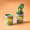 COMPLIMENT COLOR GROW KITS