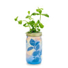 HERB GARDEN JAR