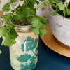 HERB GARDEN JAR