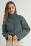 THICK BRAID TURTLENECK SWEATER